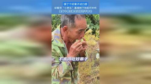 吃瓜生猛的小老头视频,揭秘吃瓜生猛的小老头视频背后的故事