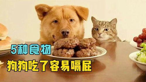 煎饼狗子吃瓜视频下载安装,轻松获取热门搞笑内容