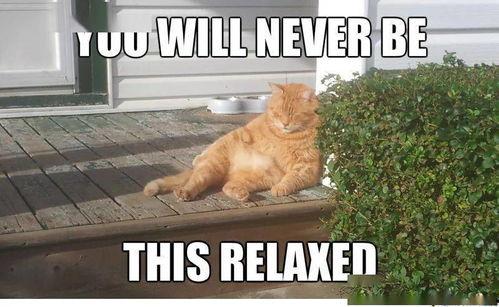 吃瓜人类幼崽视频在线观看,揭秘吃瓜人类幼崽萌态瞬间