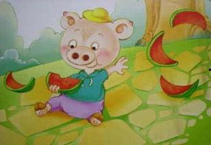 小猪吃瓜的视频播放,萌宠欢乐时光