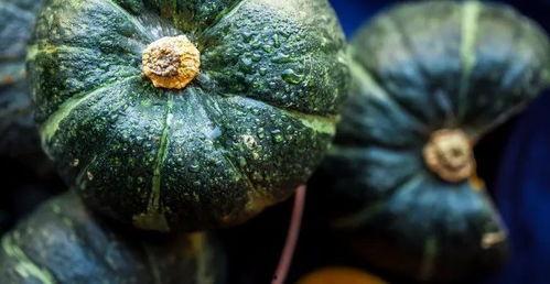 吃瓜视频真的好吃吗,揭秘美味瓜果的口感与魅力