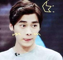 李易峰吃瓜事件解析视频,揭秘娱乐圈风波背后的真相