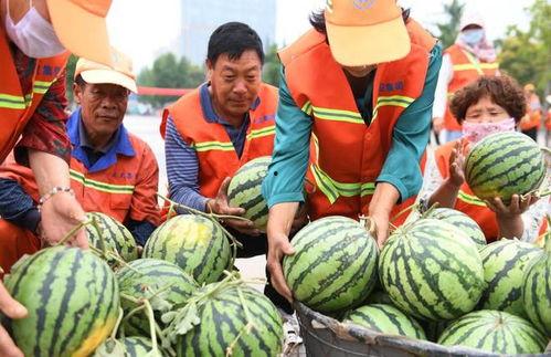 郯城吃瓜视频,揭秘当地特色美食背后的故事