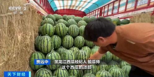 深圳南门吃瓜视频,一场全民参与的街头盛宴