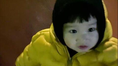 秃崽吃瓜视频链接下载安装,揭秘娱乐圈幕后故事