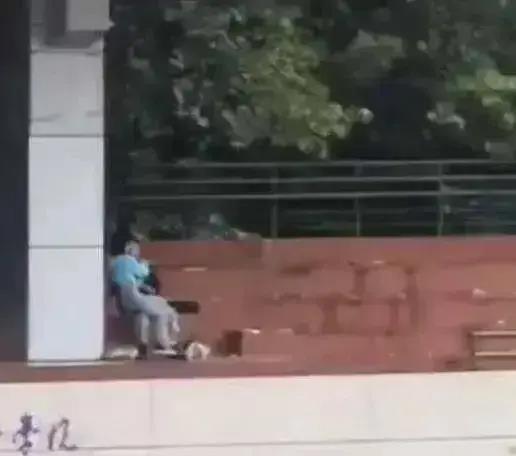 江西校园吃瓜事件视频最新,揭秘背后真相与反思