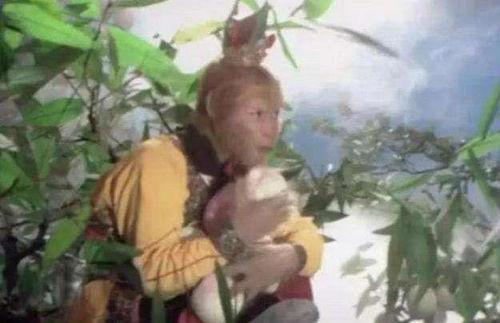 悟空吃佛手瓜的故事视频,吃佛手瓜的智慧之旅